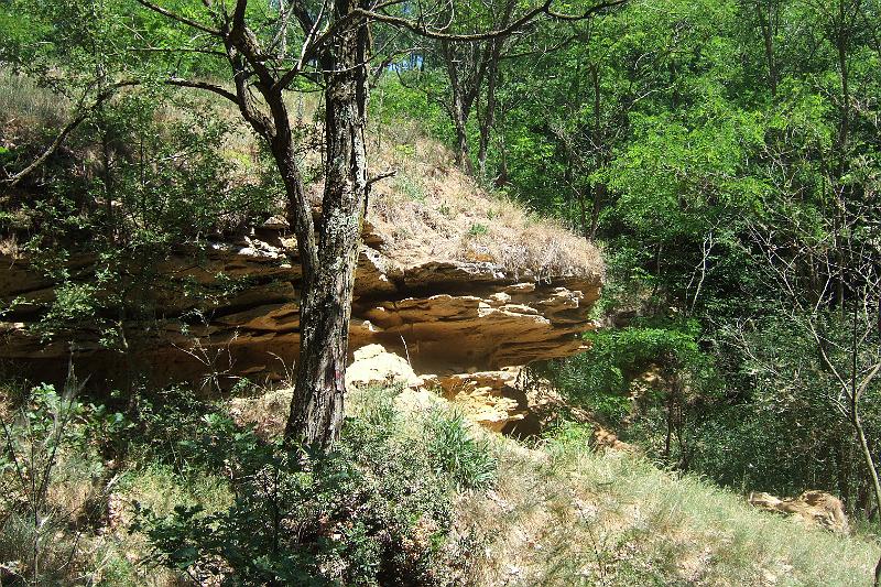 2011-05- (1014).JPG